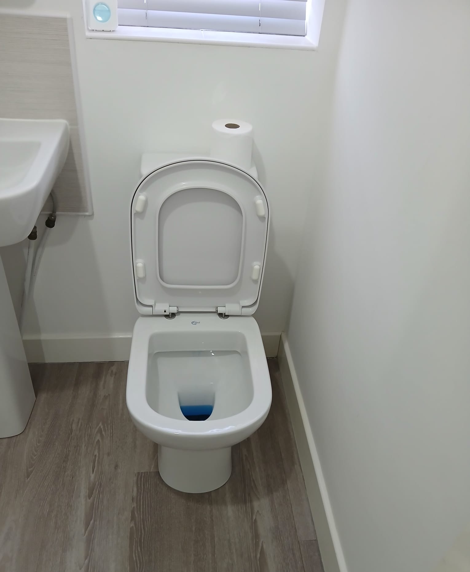 Ceramic Toilet Pan & Rim Disinfection